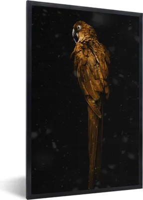 Produktbild von MuchoWow® Gerahmtes Poster Vogel - Gold - Papagei 20x30 cm - Poster mit Schwarzem Bilderrahmen Wandposter Rahmen Foto Bilder - Drucken - Bilder Poster im Rahmen