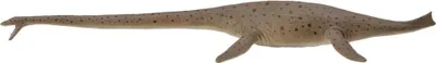 Produktbild von COLLECTA Thalassomedon – 1:40