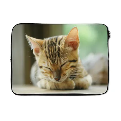 Produktbild von MuchoWow® Laptop Hülle 14 ZollEin schlafendes Kätzchen Laptoptasche - Laptoptasche - Stoßsicher - Schutzhaube