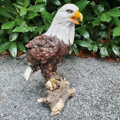 Zdjęcie produktu dla Figurka ogrodowa orła bielika Figurka orła bielika z otwartym dziobem 33 cm