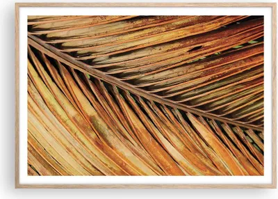 Produktbild von Gerahmtes Poster - Rahmen in heller Eiche - Orange Blatt Tropisch - 100x70 cm - Wand Bild - Wanddeko - Wandbilder - Kunstposter - Wandposter - Bilderrahmen - Bilder - Kunstdruck - P2NAA100x70-4876