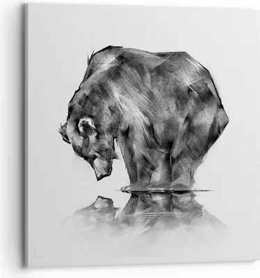 Produktbild von Bild auf Leinwand - Leinwandbild - Bär Tier - 70x70cm - Wand Bild - Wanddeko - Wandbilder - Leinwanddruck - Bilder - Kunstdruck - Wanddekoration - Leinwand bilder - Wandkunst - AC70x70-3921