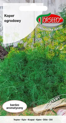 Produktbild von Dillsamen 5g - Torseed