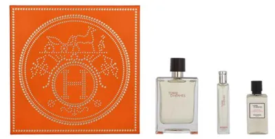Produktbild von Hermes Terre D`Hermes Eau de Toilette 100ml + 15ml & Shower Gel 40ml