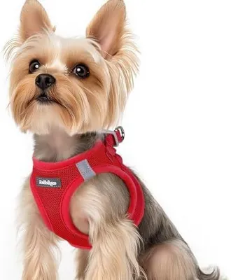 Produktbild von rabbitgoo Hundegeschirr Kleine Hunde, Step-in Weiches Mesh, Rot | Einfach anzulegen, Atmungsaktiv & Reflektierend, Ausbruchsicher mit Sicherheitsverschluss für Kleine Hunde Gassi, XS
