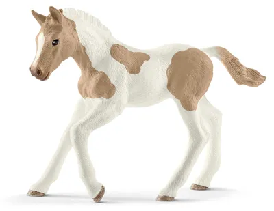 Immagine prodotto di Puledri di Paint Horse