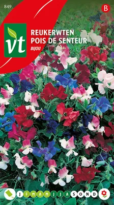 Obrázok produktu pre Sladký hrášokBijou Samen - Približne 4 gr | VT_849