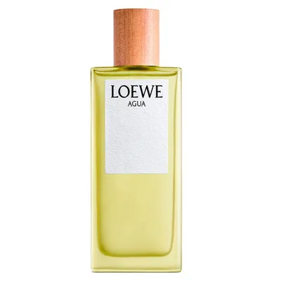 Obrázek produktu pro Loewe Agua Edt Spray 100 ml