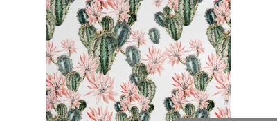 Produktbild von Coloray Fototapete 208x146 cm Latextapete Magicstick - Opuntia Cactus Blüte Blumenblumen