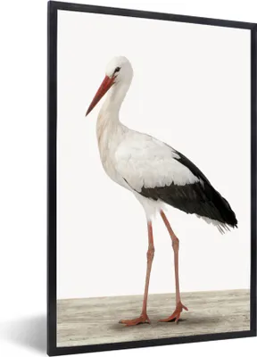 Produktbild von MuchoWow® Gerahmtes Poster Storch - Vogel - Tiere - Jungen - Kinder - Mädchen 60x90 cm - Poster mit Schwarzem Bilderrahmen Wandposter Rahmen Foto Bilder - Kunst