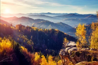 Zdjęcie produktu dla Fototapeta Krajobraz z widokiem na wschód Słońca Góry Las Przyroda Zielona Natura Modny efekt 3D 416x290cm