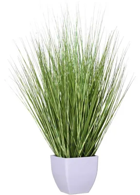 Immagine prodotto di Erba sintetica in vaso ZEBRA 60 cm
