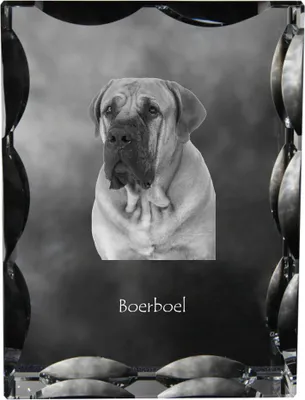 Image de Boerboel - cristal avec photo du chien, statuette en verre avec photo, cadre unique avec photo de la marque Art-Dog