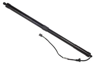 Image de EBG Actionneur électrique hayon droite Ford AM51U404C84AJ