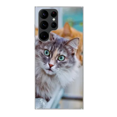 Produktbild von MuchoWow® Handyhülle Schutzhülle Hülle für Samsung Galaxy S22 Ultra Katze - Fenster - Katzen Silikon Softcase Handy Hülle - Abbildung