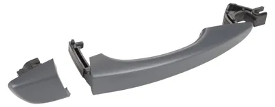 Immagine prodotto di Maniglia 9101PG