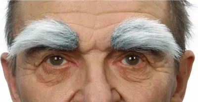 Produktbild von Falsche Augenbrauen My Other Me Einheitsgröße Zubehör für Verkleidung