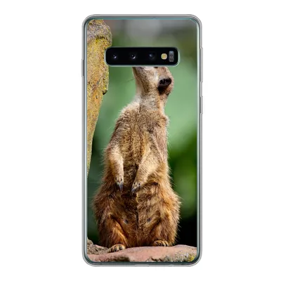 Produktbild von MuchoWow® Handyhülle Schutzhülle Hülle für Samsung Galaxy S10 Erdmännchen - Tier - Rock Silikon Softcase Handy Hülle - Handytasche