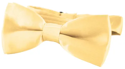 Produktbild von DonDon® Edle Kinder Fliege gebunden und längenverstellbar 9 x 4,5 cm gold glänzend in Seidenlook