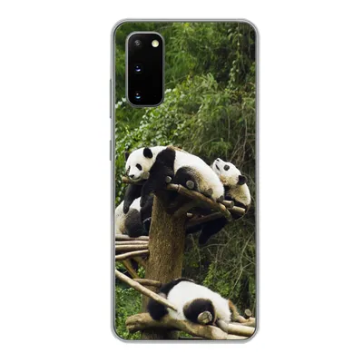 Produktbild von MuchoWow® Handyhülle Schutzhülle Hülle für Samsung Galaxy S20 Pandas - Holz - Treppe Silikon Softcase Handy Hülle - Bild