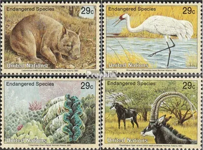 Produktbild von Briefmarken UNO - New York 1993 Mi 644-647 (kompl.Ausg.) gestempelt Gefährdete Tiere