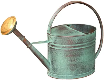 Gießkanne grün 4 l mit Messing-Brausekopf