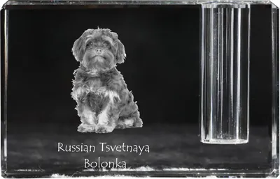 Produktbild von Bolonka, Russian Tsvetnaya Bolonka, Bolonka Zwetna - Stifthalter, Kristallorganizer mit Hundefoto, einzigartige Schreibtischdekoration der Marke Art-Dog