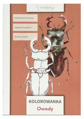 Zdjęcie produktu dla Kolorowanka edukacyjna Owady dla dzieci