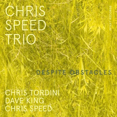 Obrázok produktu pre Chris Speed: Despite Obstacles -   - (CD / D)