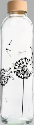 Obrázok produktu pre Prenosná fľaša 0,7 l