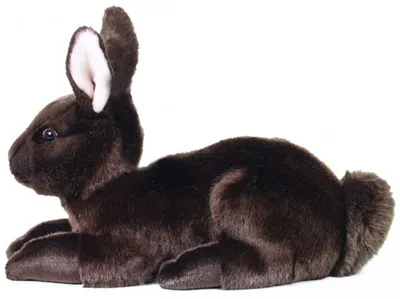 Obrázek produktu pro Plyšový hnědý králík 33 cm Ekologický