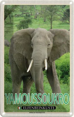 Image de vianmo Plaque en tôle 18x12 cm Yamoussoukro Elfenbeinküste Nationalpark