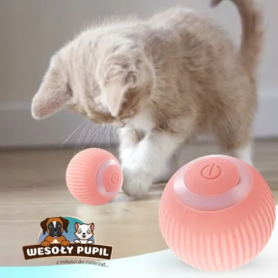 Produktbild von INTERACTIVE BALL für Katzen Hundespielzeug USB Vibration LED elektrisch