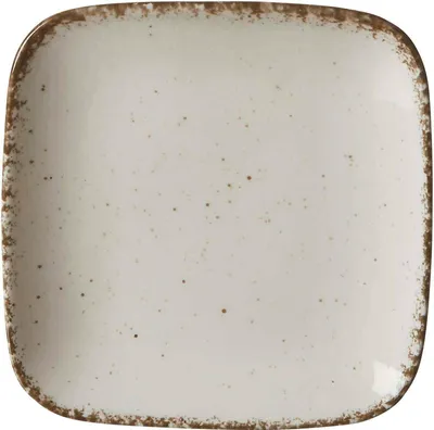A single square plate with a speckled pattern and a distressed brown rim, shown from a top-down perspective on a white background.