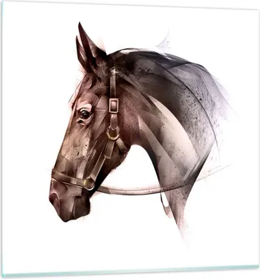 Produktbild von Bilder auf glas - Pferd Abstraktion - 60x60cm - Glasbilder - Wandbilder - Kunstdruck - zum Aufhängen bereit - Wanddekoration aus Glas - Glas Bilder - Wandbild auf Glas - Einteilig - GAC60x60-4106