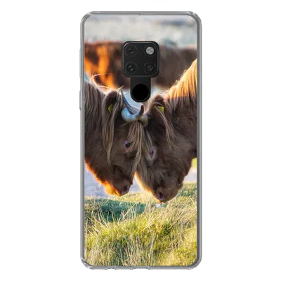 Produktbild von MuchoWow® Handyhülle Schutzhülle Hülle für Huawei P40 Lite Schottische Highlander - Tiere - Sonne Silikon Softcase Handy Hülle - Handy
