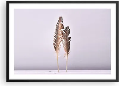 Produktbild von Gerahmtes Poster - Schwarzer Rahmen - Zwei Federn Flieder - 70x50 cm - Wand Bild - Wanddeko - Wandbilder - Kunstposter - Wandposter - Bilderrahmen - Bilder - Kunstdruck - Wandbild - P2BAA70x50-4335