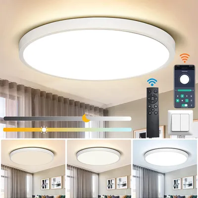 Obrázok produktu pre LED stropné svietidlo Φ30 cm, diaľkové ovládanie, stmievateľné 10 % – 100 %, LED panel, Bluetooth a funkcia ukladania nastavení, biela farba, vhodné do kuchyne, spálne a jedálne