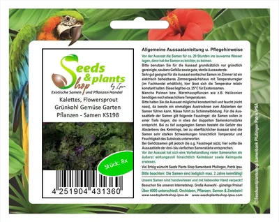 Produktbild von 8x Kalettes, Flowersprout Grünkohl Gemüse Garten Pflanzen - Samen KS198