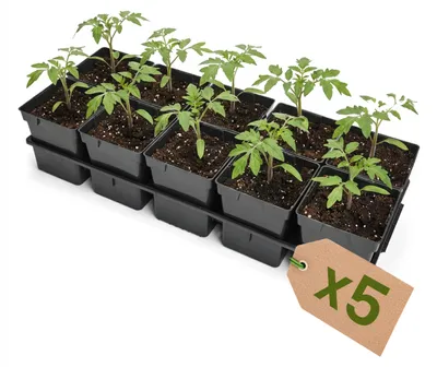 Image de Garronda, plateau de culture 5 pièces, support pour pots de culture pour serre (plateau de culture avec 10 pots de 1 L) GD-KW-T