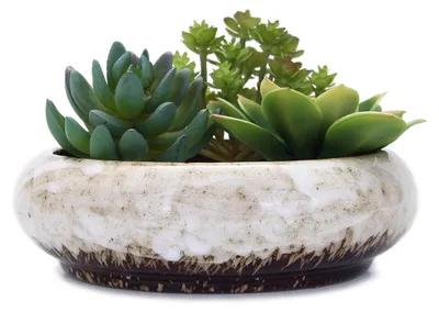 Productafbeelding van Omgoods - Rond Witte Keramische Plantenpot met Afvoergaatje