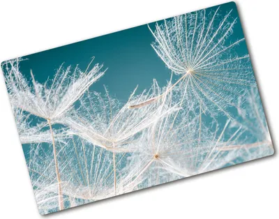 Produktbild von Tulup Glas Herdabdeckplatte - 80x52 cm - Glaskeramikkochfeld-Abdeckung Spritzschutz Glasabdeckplatte - Einteilig - Blumen & Pflanzen - Pusteblume Samen - Weiß
