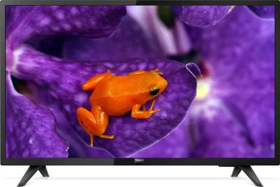 A television screen displaying a close-up image of a frog on a purple flower.