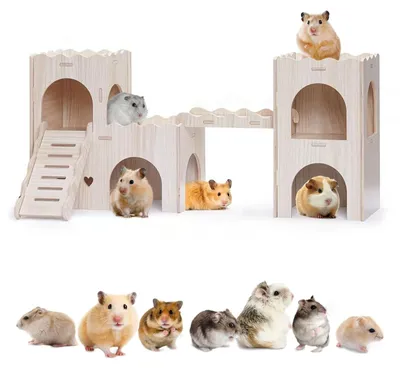 Produktbild von Holz-Hamsterhaus mit zwei Ebenen und Kletterleiter