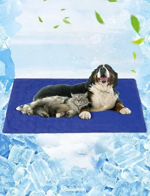 Produktbild von Famanu Kühlmatte für Hunde, Katzen und Haustiere - XXL, wasserfest, selbstkühlend