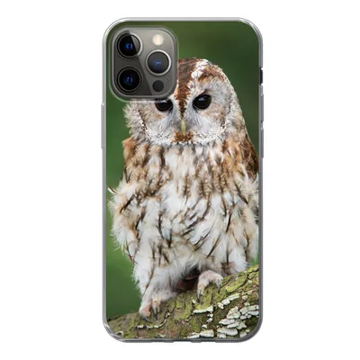 Produktbild von MuchoWow® Handyhülle Schutzhülle Hülle für iPhone 13 Pro Braune Eule sitzt auf einem Baum Silikon Softcase Handy Hülle - Handy-Tasche