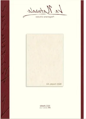 Productafbeelding van Perkament Papier - Certificaat Vellen - Documenten Maken - Florentijnse Stijl - A4 12 Stuks - Ivoor