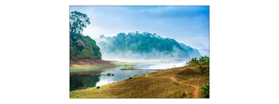 Produktbild von Muralo Fototapete Wald im Nebel 405 (B) x 270 (H) cm Vlies Tapete Wandtapeten See Bäume Wohnzimmer Schlafzimmer moderne Wandbilder XXL Landschaft Panorama Wand Dekoration