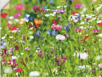 Produktbild von ARTland Wandbild, selbstklebend Blumenwiese I Größe: 120x90 cm