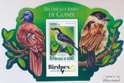 Produktbild von Briefmarken Guinea 2017 Mi Block 2799 (kompl. Ausgabe) postfrisch Seltene Vögel